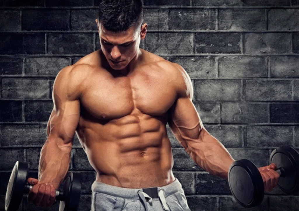 12 Week Muscle Building